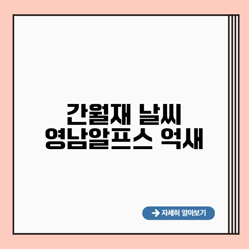 간월재 날씨 영남알프스 억새