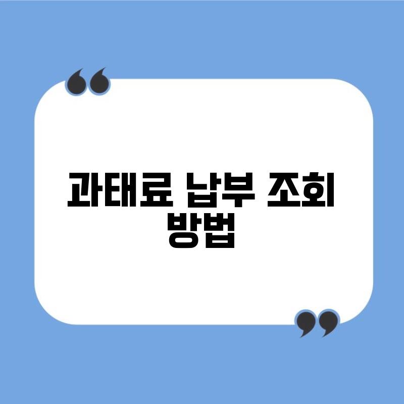 과태료 납부 조회 방법