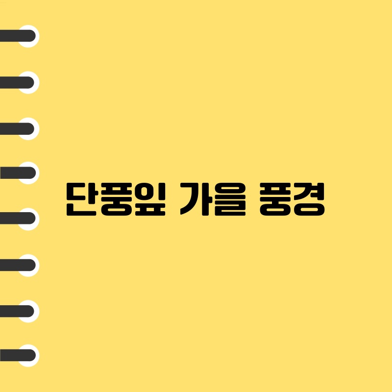 단풍잎 가을 풍경