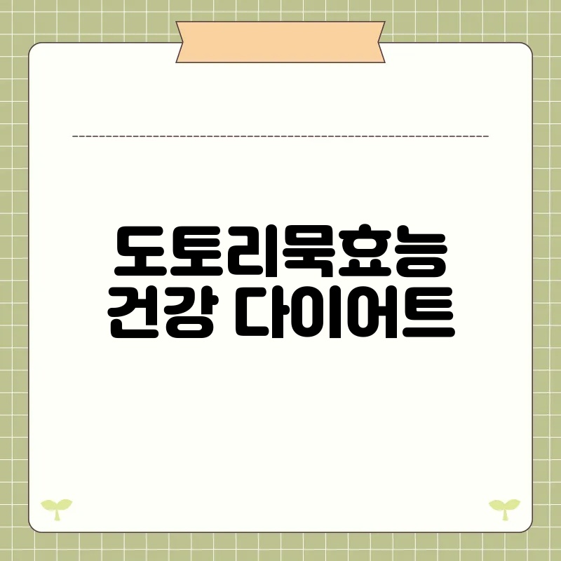 도토리묵효능 건강 다이어트