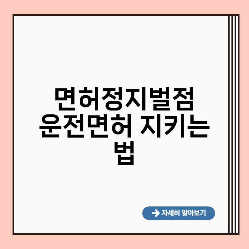 면허정지벌점 운전면허 지키는 법
