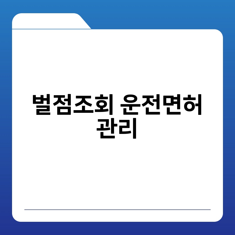 벌점조회 운전면허 관리