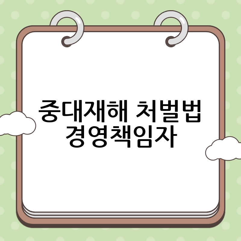 중대재해 처벌법 경영책임자