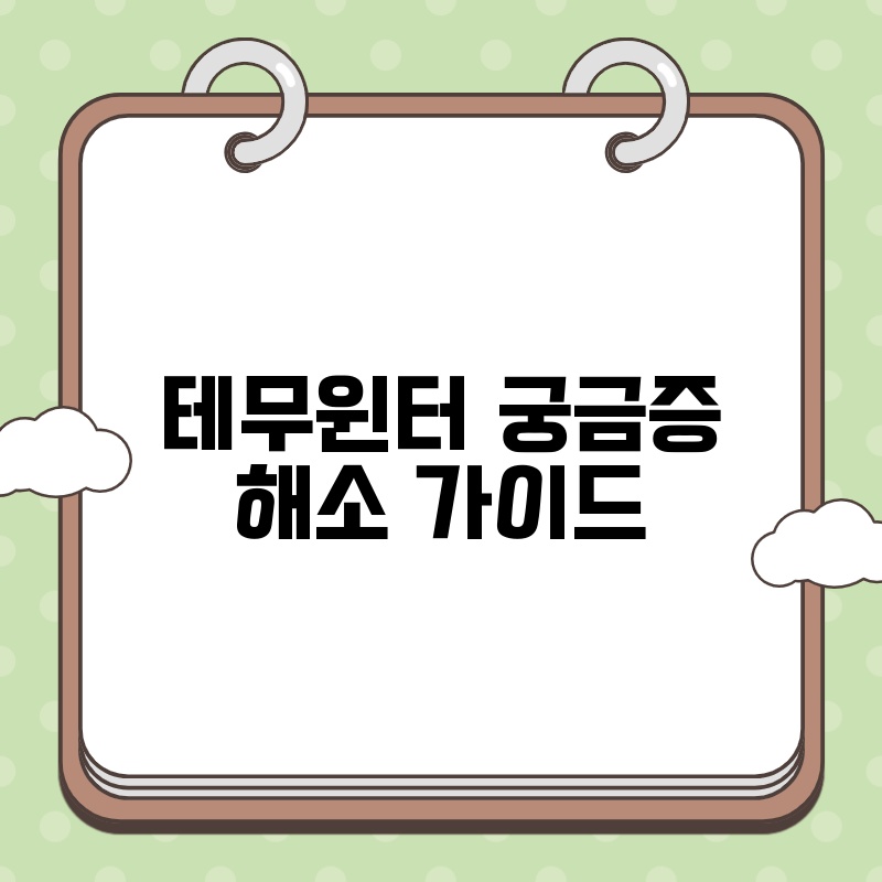 테무윈터 궁금증 해소 가이드