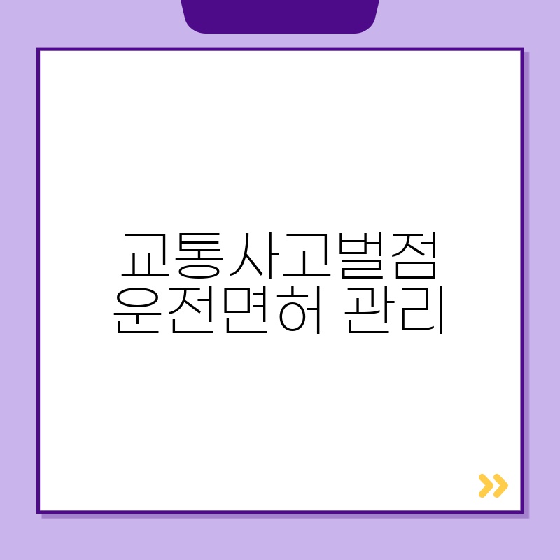 교통사고벌점 운전면허 관리