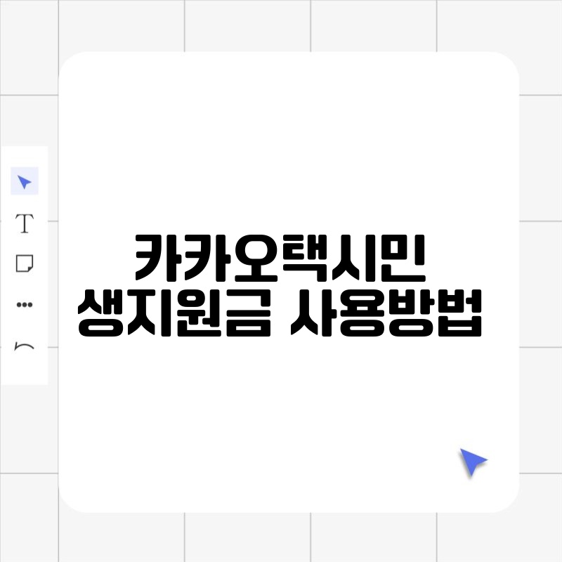 카카오택시민생지원금 사용방법