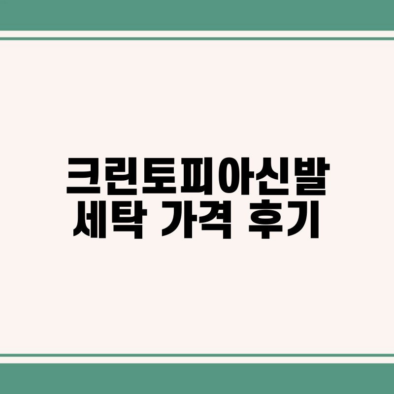 크린토피아신발 세탁 가격 후기