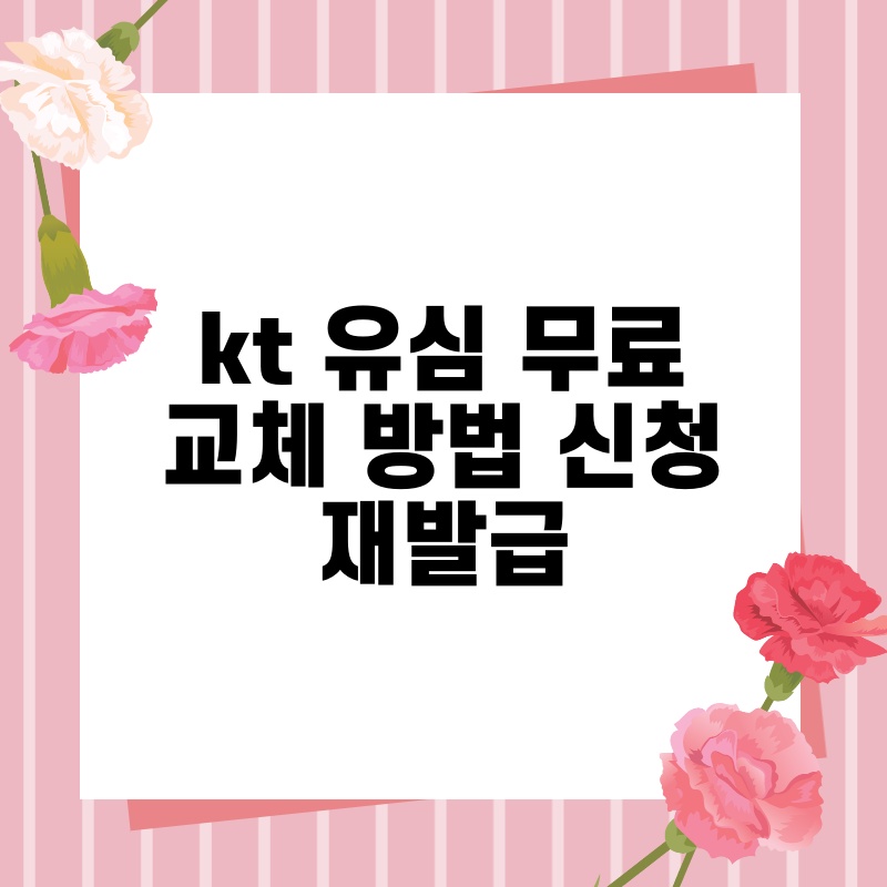 kt 유심 무료 교체 방법 신청 재발급