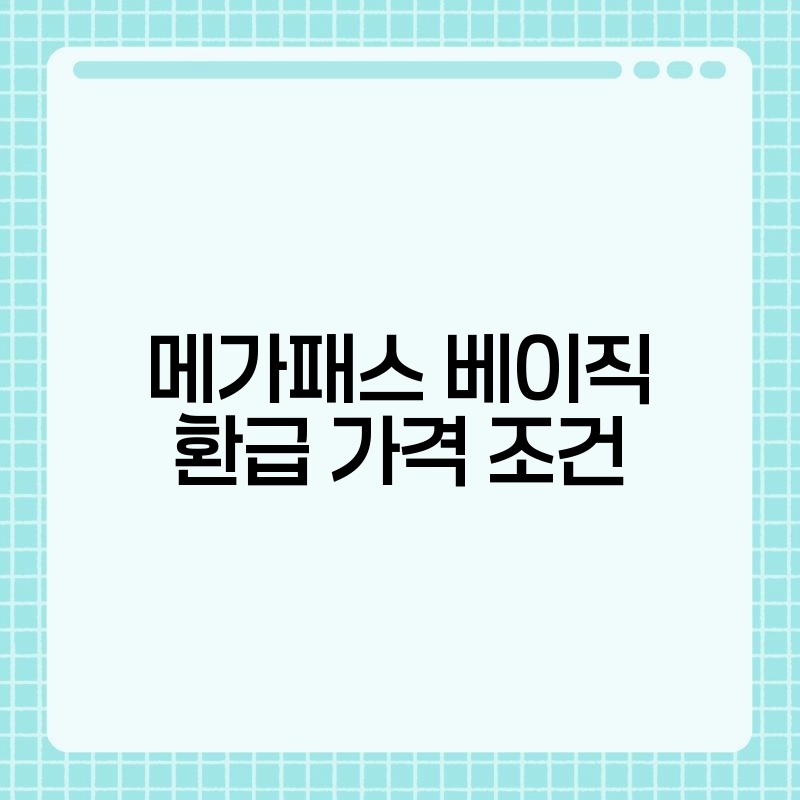 메가패스 베이직 환급 가격 조건