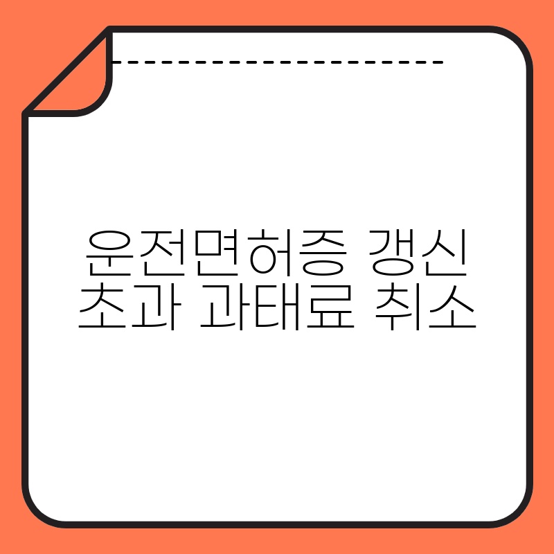 운전면허증 갱신 초과 과태료 취소