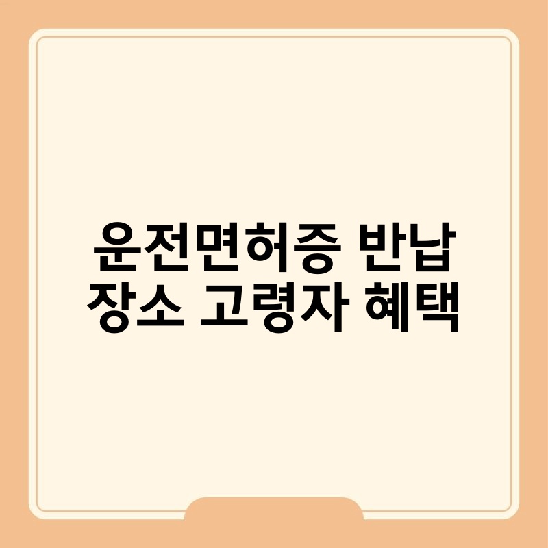 운전면허증 반납 장소 고령자 혜택